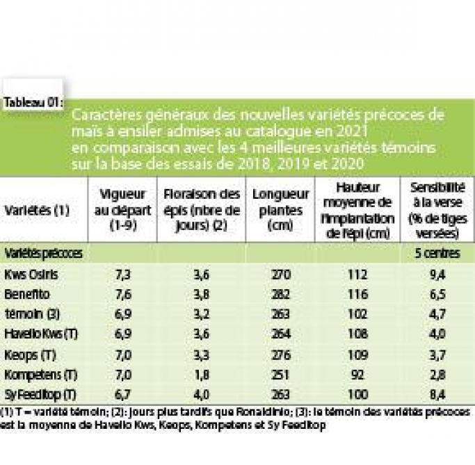 3952-ENSILAGE1