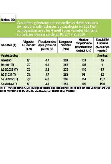 3952-ENSILAGE2