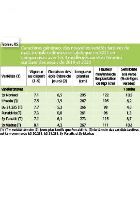 3952-ENSILAGE5