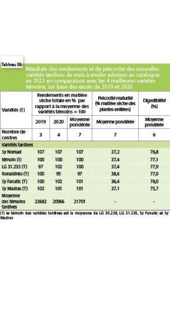 3952-ENSILAGE6