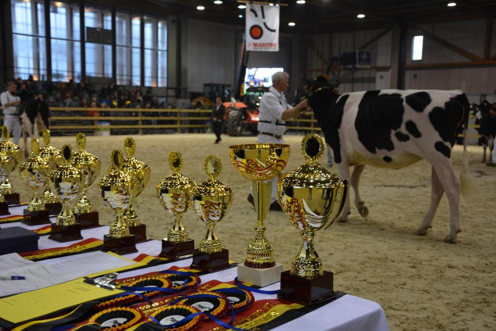 Les concours, organisés dans le cadre du Brussels Livestock Show, récompenseront une nouvelle fois l’élite de l’élevage belge.