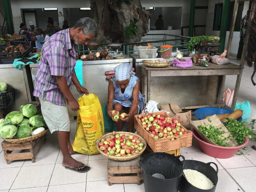 La part qu’occupent les petits exploitants dans l’approvisionnement alimentaire varie considérablement d’un pays à l’autre.