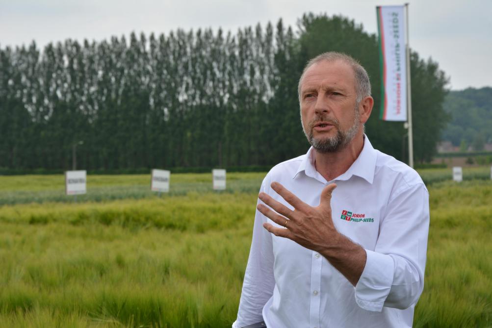 En escourgeon, Benoît Sneesens présente notamment les nouveautés Feeris et Exquis, d’origine KWS Momont. Toutes deux sont tolérantes à la jaunisse nanisante.
