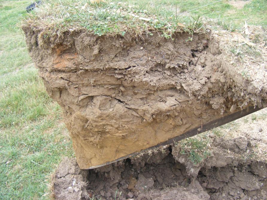 Une bonne structure de sol est nécessaire pour permettre une bonne implantation des racines et donc une bonne résistance aux longues périodes sèches.