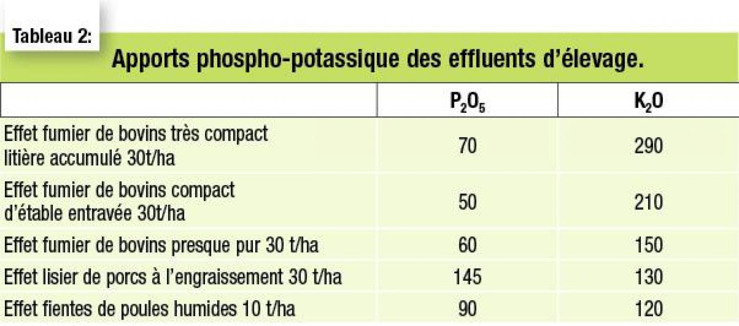 10-4006-apports phospho-02-web