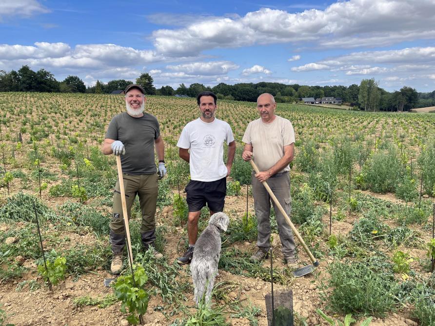 Matthieu Roy et son équipe sont parmis les premiers à planter des hectares des cépages très récents, dont le Merlot Khorus.  Ils vont ouvrir une nouvelle voie.