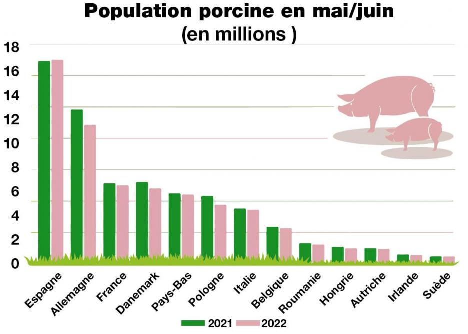 40-4034-population porcine-web