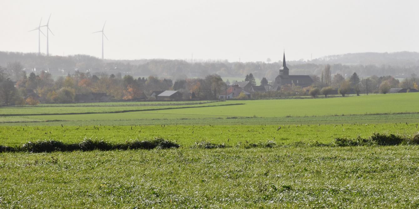 La SAU wallonne totale est restée stable au cours des 30 dernières années. Les plus gros changements se sont opérés au niveau des cultures industrielles qui ont enregistré une baisse de 17,5% au profit de celle de la pomme de terre qui a bondit de 118% entre 1992 et 2002.