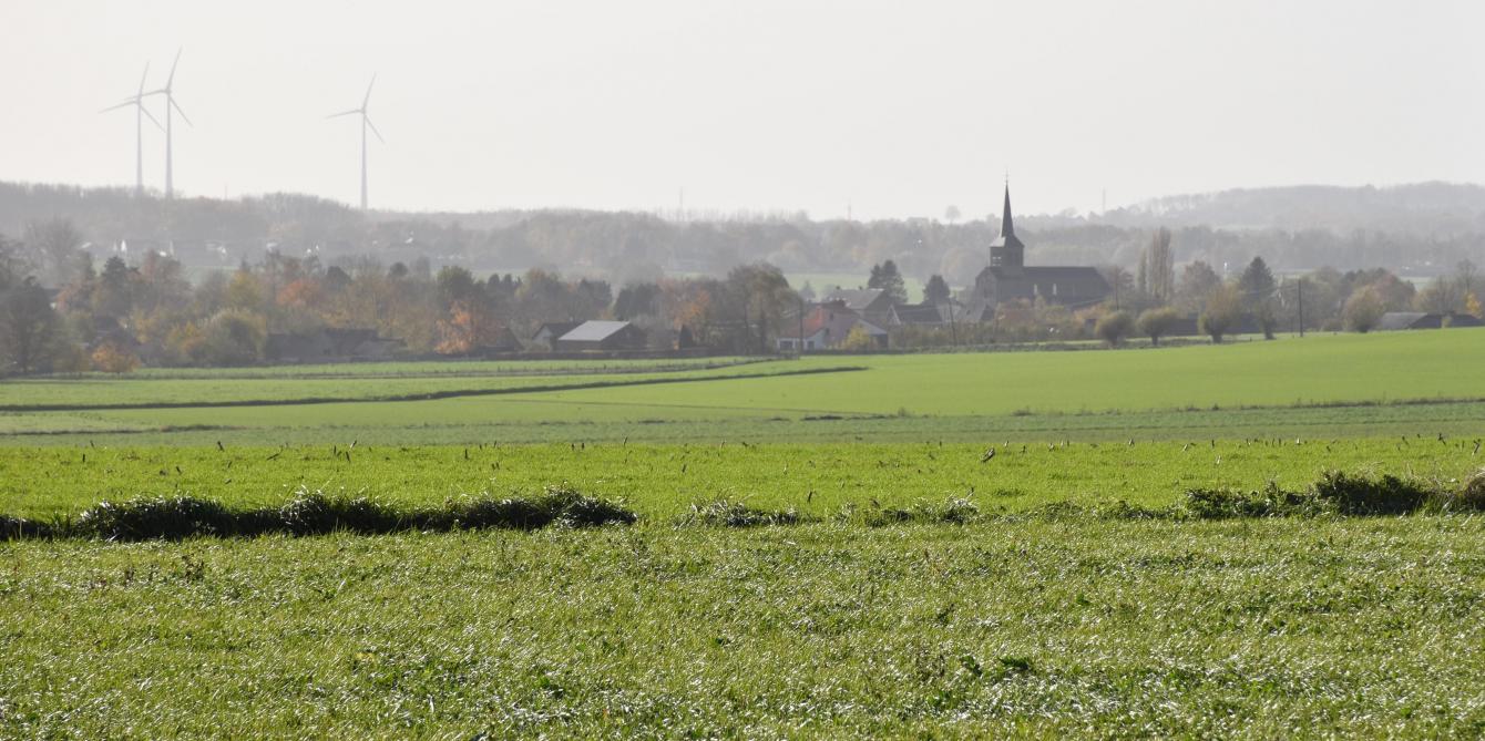 La SAU wallonne totale est restée stable au cours des 30 dernières années.  Les plus gros changements se sont opérés au niveau des cultures industrielles  qui ont enregistré une baisse de 17,5% au profit de celle de la pomme de terre  qui a bondit de 118% entre 1992 et 2002.