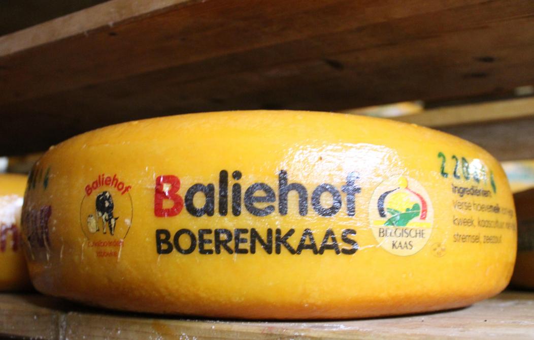 Het Baliehof a remporté trois médailles aux World Cheese Awards  dans la catégorie des fromages fermiers.