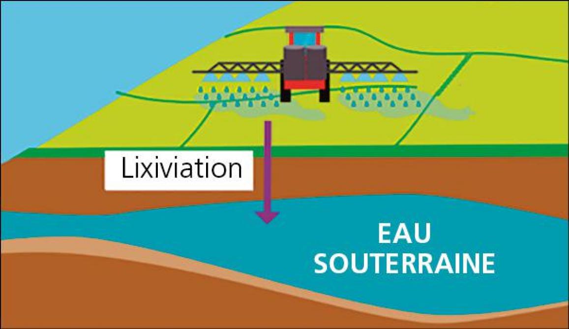 Figure 1: processus de lixiviation d’une substance active vers les eaux souterraines.