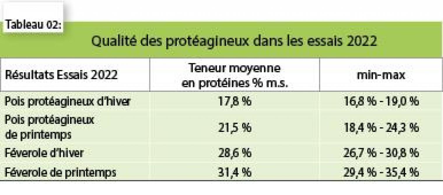 07-4052-PROTEAGINEUX 2-webOK