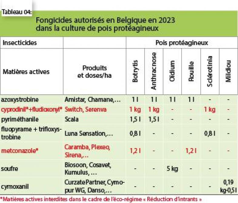 4452-proteagineux-04-webOK