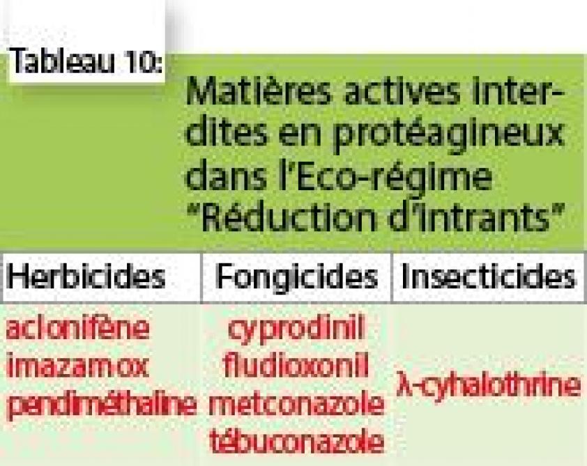 4452-proteagineux-10-webOK