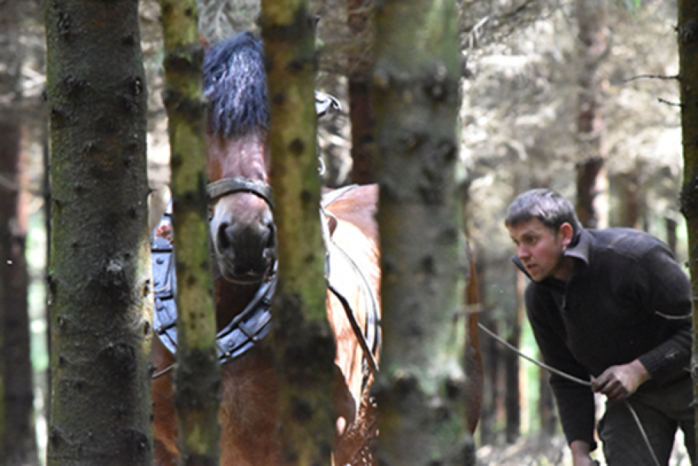 Précision du déplacement du cheval au travers de la végétation en place.