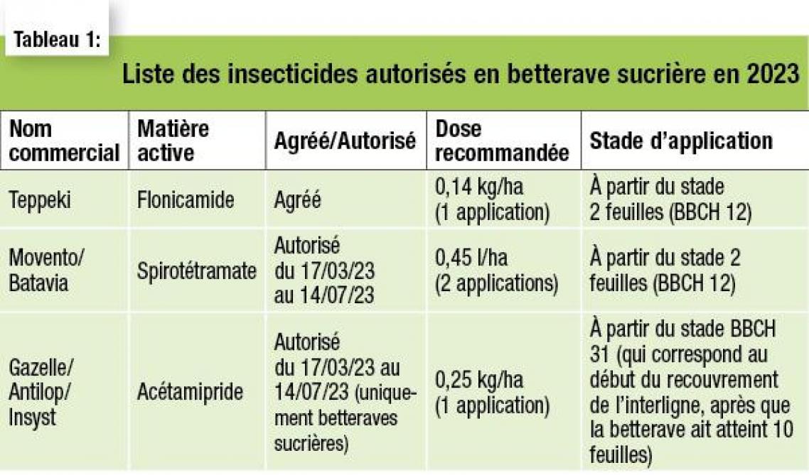 14-4059-insecticides-betterave-1-web
