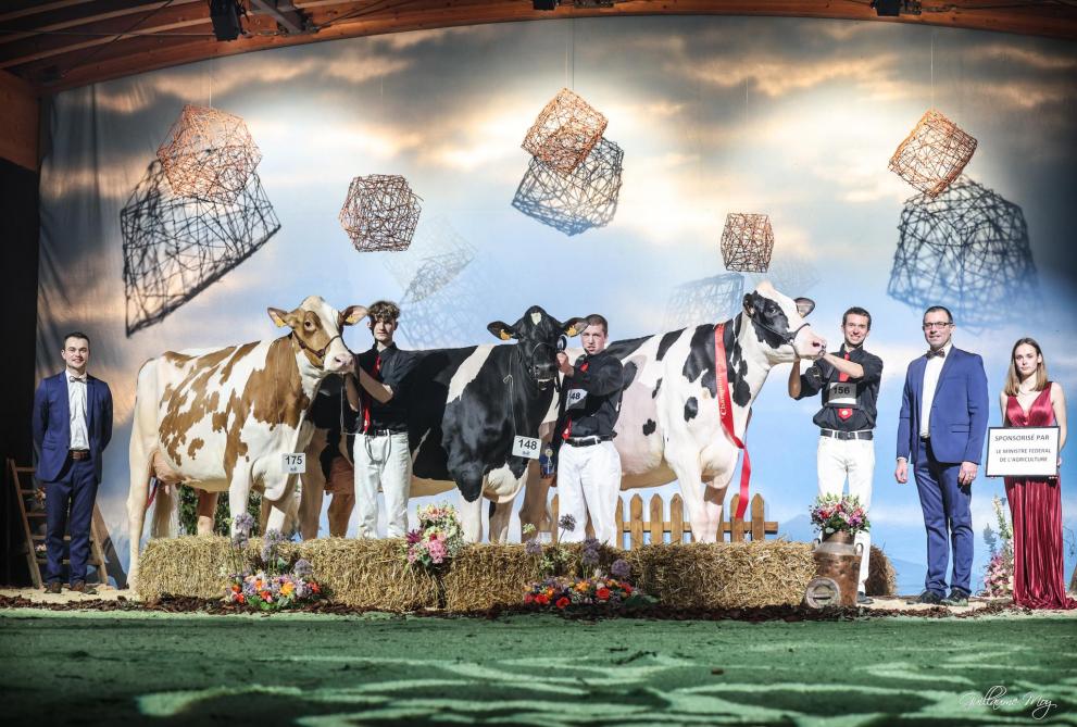 Au championnat des vaches intermédiaires (de gauche à droite) : Purple Red du Neuof  (p. Jordy Red), mention ; Rayonnante ET de l’Ecaillois (p. Sidekick), réserve ; et Hanika  de Bois Seigneur (p. Haniko), championne et championne mamelle intermédiaire et adulte.