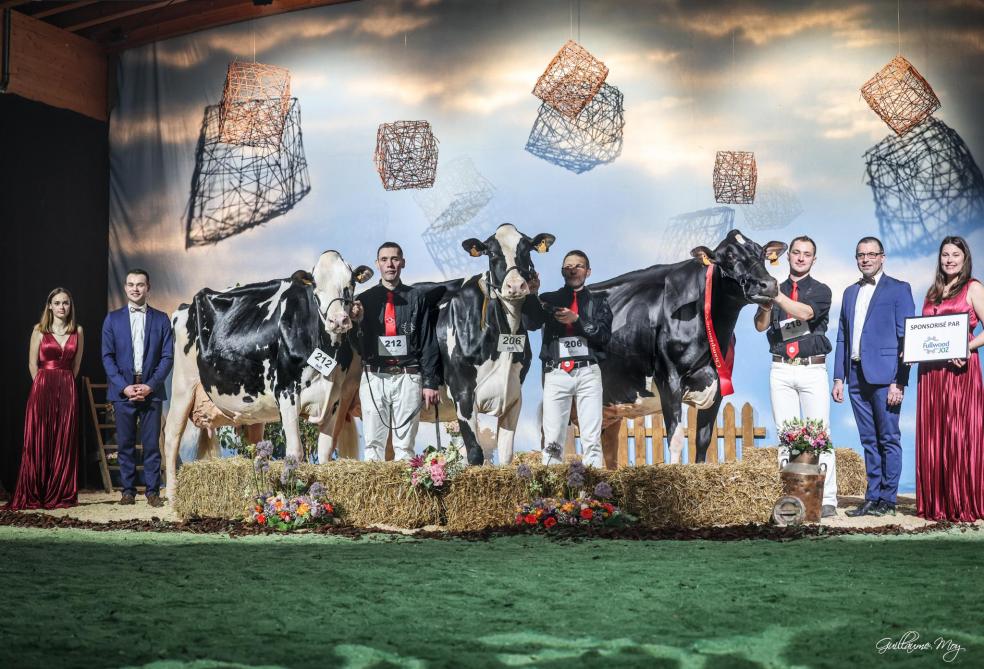 Au championnat des vaches adultes (de gauche à droite) : Mysticrivr de l’Espérance (p. Dempsey), mention ; Big Mac de Haumont-Hill (p. Beemer), réserve ; et Dandy 6265 (p. Long P), championne, lauréate de la série « Beauty-Utility » et grande championne.
