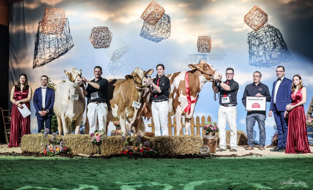 Au championnat des Red Holstein (de gauche à droite) : Paupière de l’Herbagère (p. Bad), mention ; C-Sold Ria-Red (p. Matisse Red), réserve ; et Purple Red du Neuof (p. Jordy Red), championne.