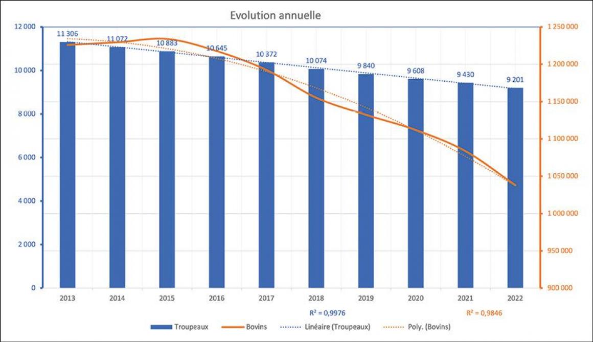 Figure 1: évolution annuelle du nombre de troupeaux bovins et de bovins depuis 2013 en Wallonie.