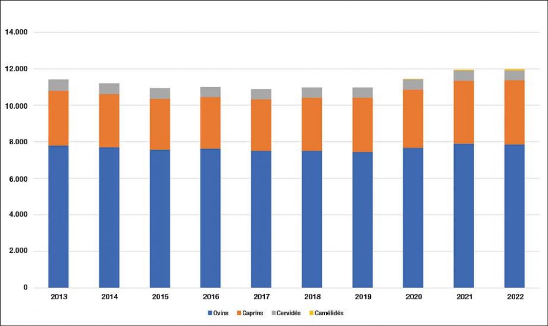 Figure 4: évolution annuelle des troupeaux OCCC.