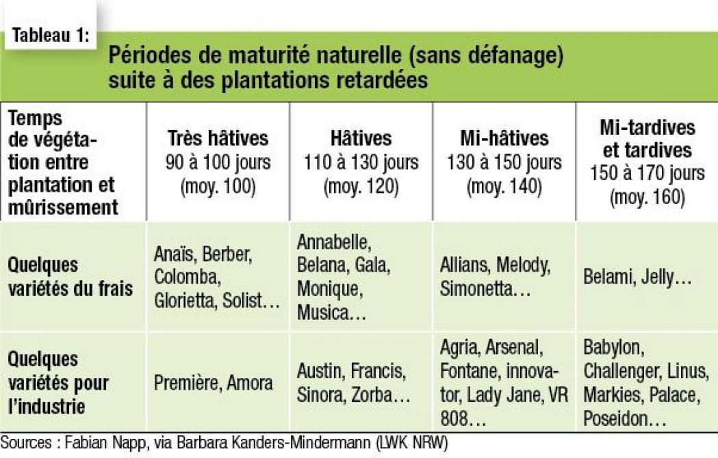 19-4064-plantations retardées-web