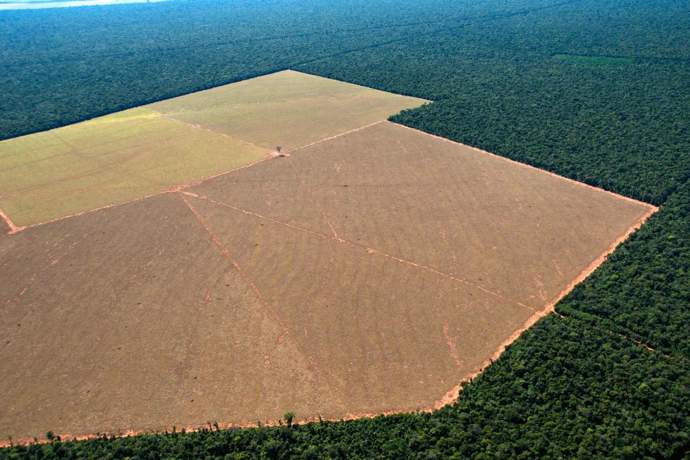 Le texte sur la déforestation importée ne s’applique pas aux écosystèmes sensibles d’Amazonie, comme la savane du Cerrado (ci-dessus déboisée pour la plantations de céréales) qui couvre plus de 25% du territoire brésilien et abrite environ 5% de la biodiversité mondiale.