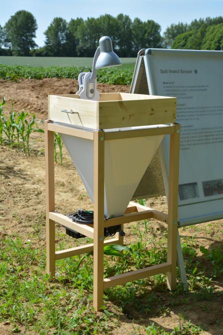 Le capteur d’insectes peut, entre autres,  être utilisé pour étudier l’impact  de certaines pratiques sur la vie du sol.