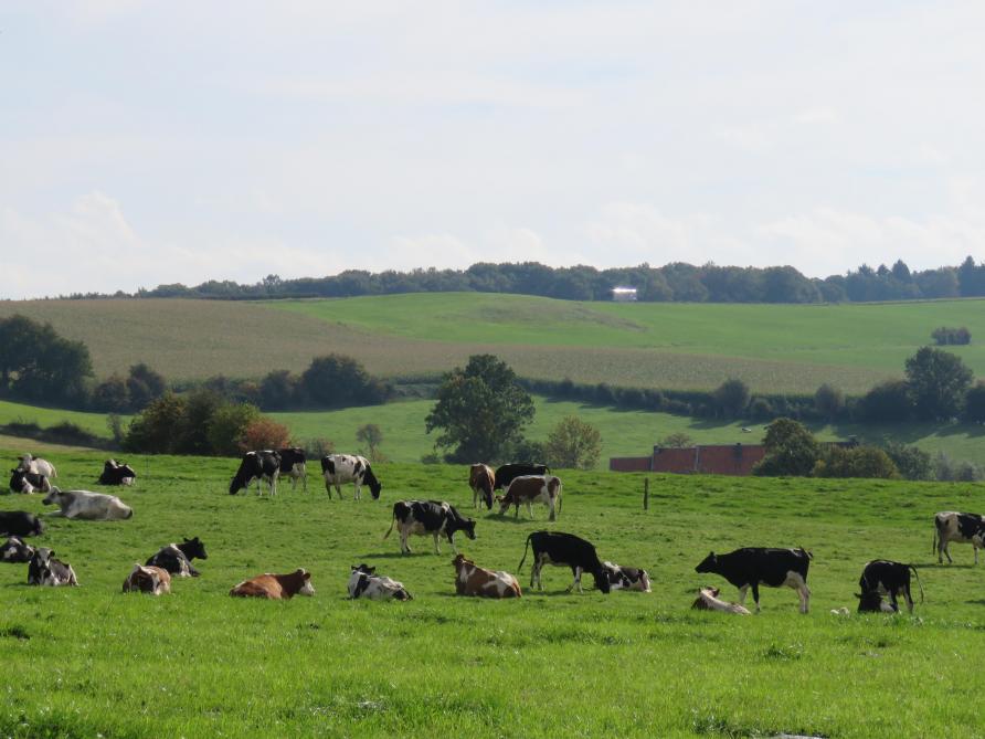 La région wallonne a estimé qu’environ 60.000 ha de terres, soit 8 % du marché,  appartiennent à divers pouvoirs publics, un chiffre qui ouvre  quelques perspectives au secteur agricole.