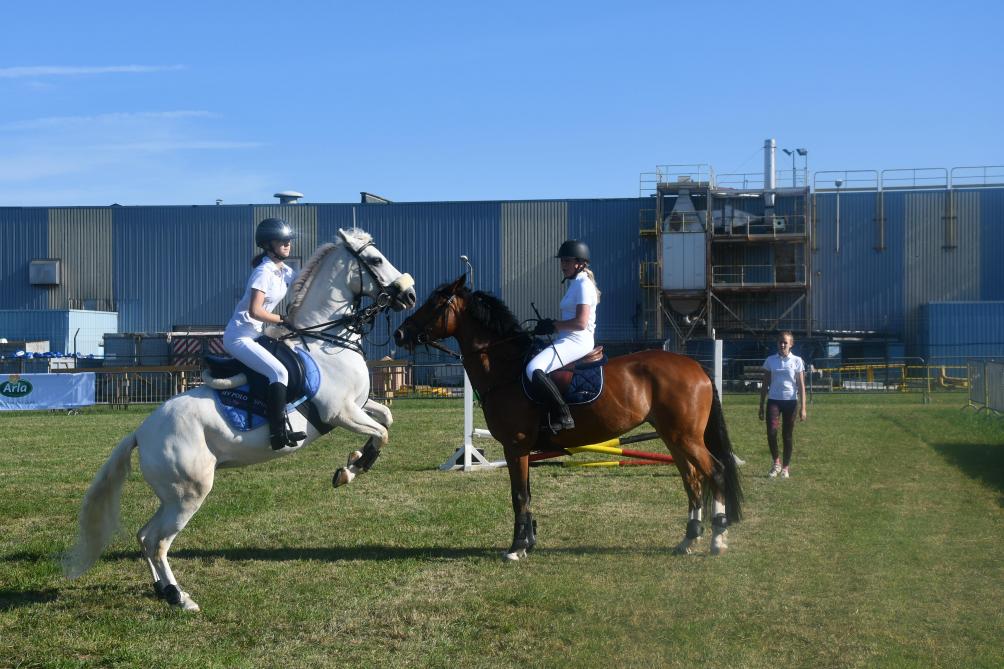 Présentation de races, stands d’informations, shows équestres... les activités liées au cheval seront encore nombreuses cette année.