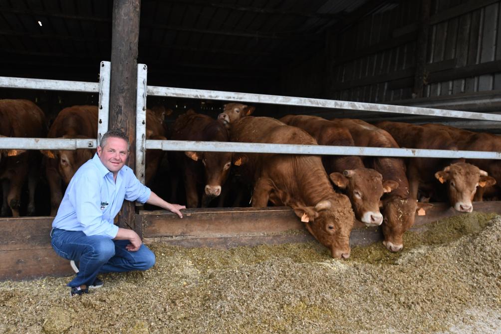 Si la Simmental avait la préférence de Christian, la valorisation des animaux est plus facile en Limousin.