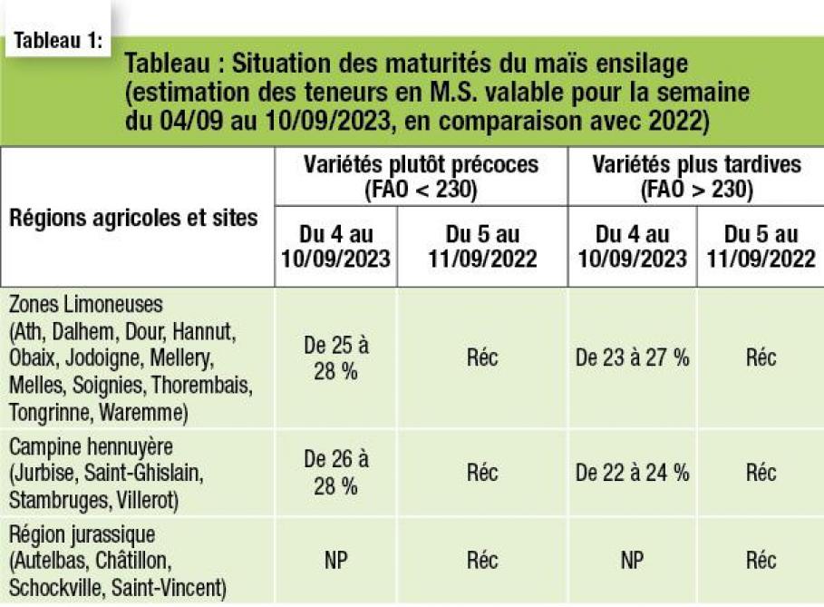 36-4079-Mais-01-web