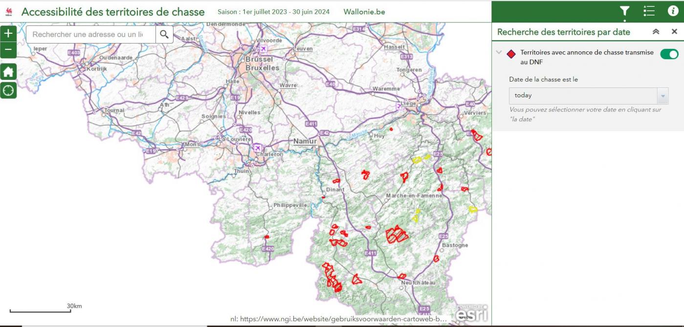chasseonwebcapture