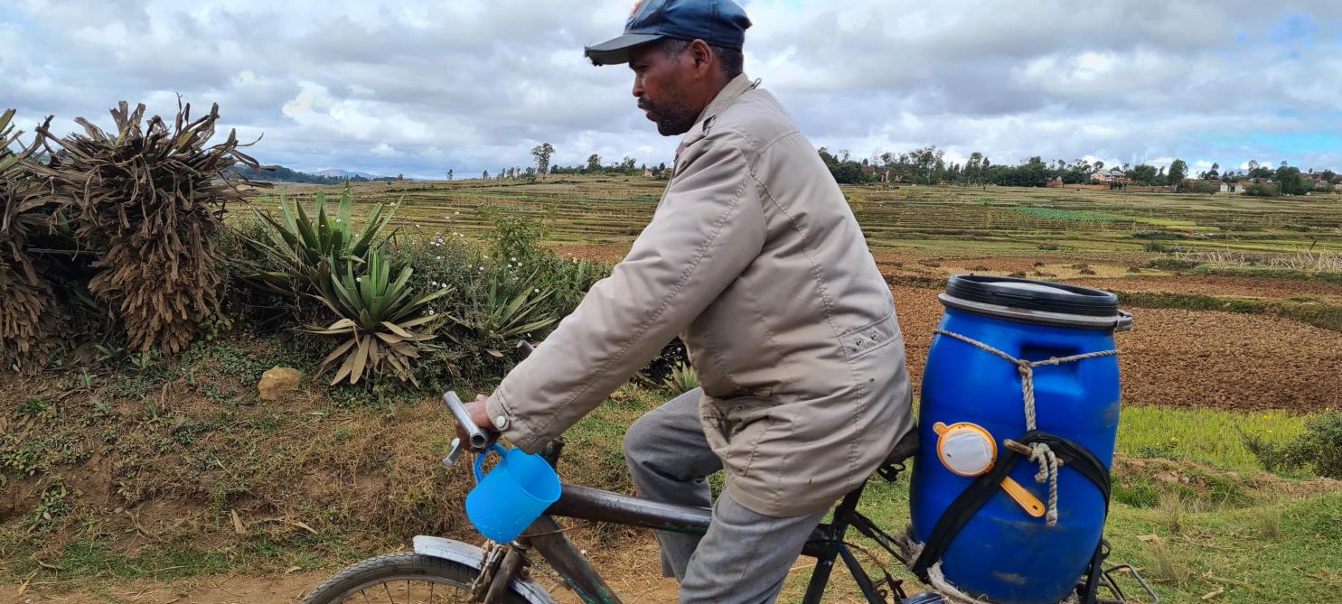 Le « trayeur- cycliste » , pré-collecteur, un maillon essentiel  de la collecte de lait malgache.