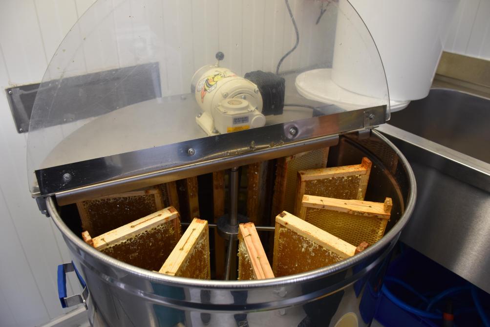 Par force centrifuge, le miel est expulsé des alvéoles vers les parois.