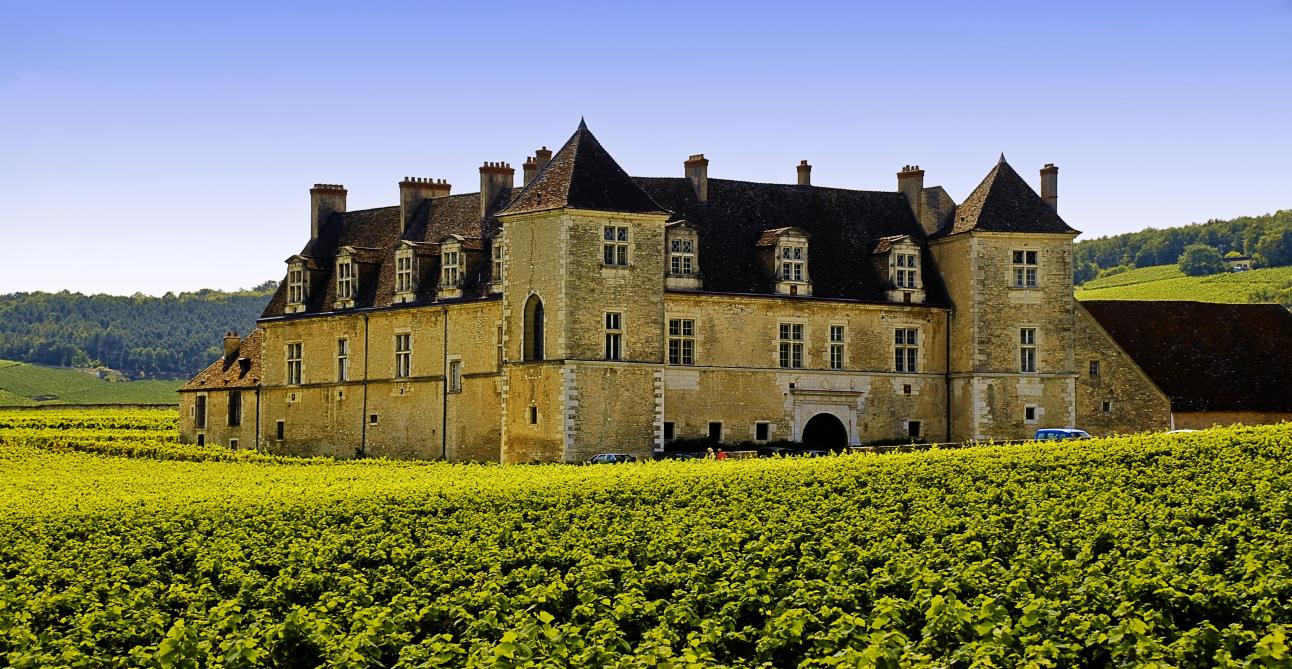 En Bourgogne, les Grands Crus connaissent en moyenne  une augmentation de 9 % par an sur 10 ans, et les Premiers Crus de 8 %.
