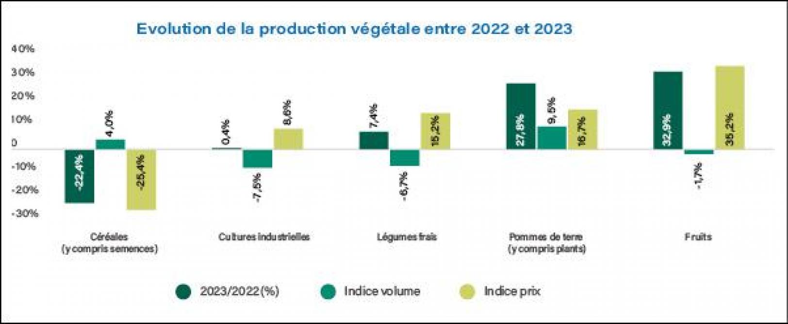Figure 1: évolution de la valeur de la production végétale entre 2022 et 2023 (source: Statbel).