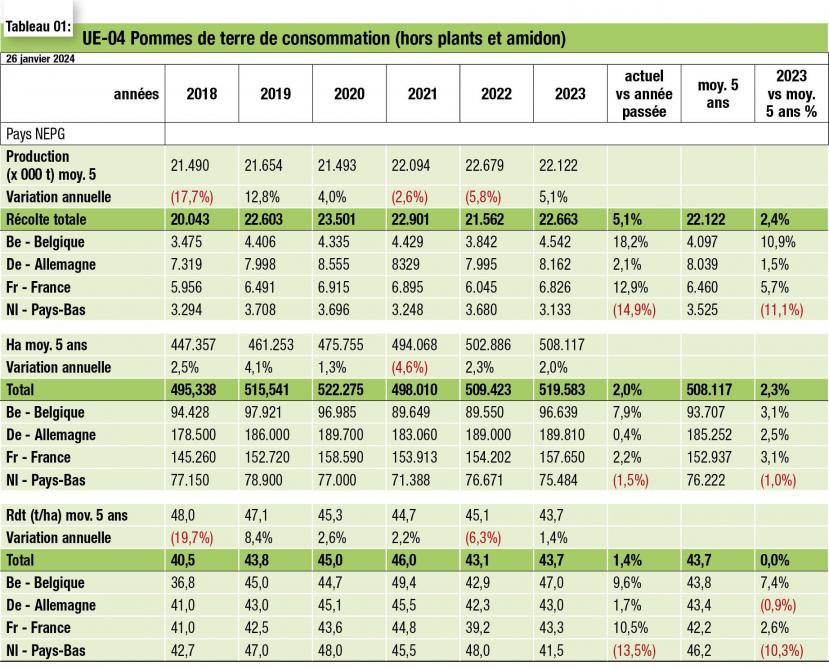 07- Pommes de terre de consommation-web