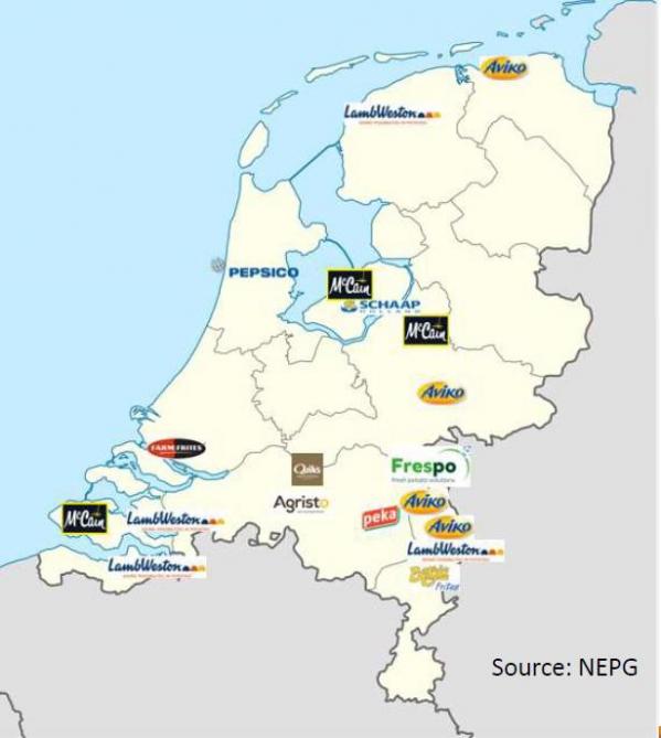 Aux Pays-Bas, 4 industriels historiques dominent largement: Aviko, Lamb Weston, McCain et Farm Frites. En tenant compte aussi des plus petits opérateurs, une vingtaine de sites répartis surtout sur le sud du pays sont répertoriés.