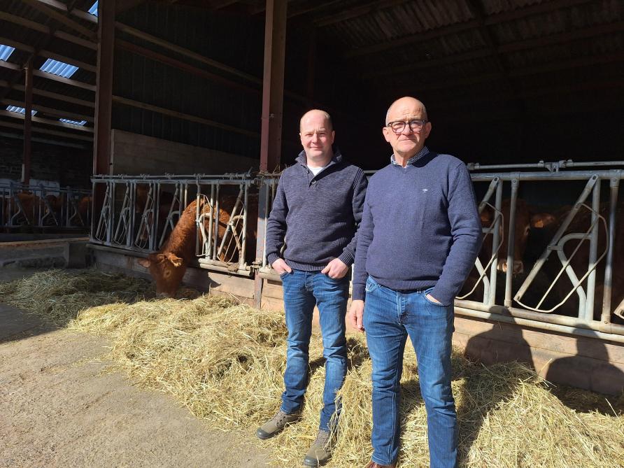 David Goffinet, vice-président, et Vincent Rabeux, président du Herd-Book limousin  ne tarissent pas d’éloges sur les qualités de ces vaches allaitantes.