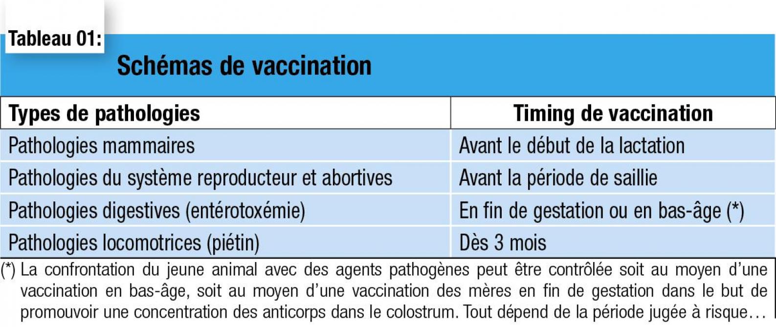 12-schéma de vaccination-web