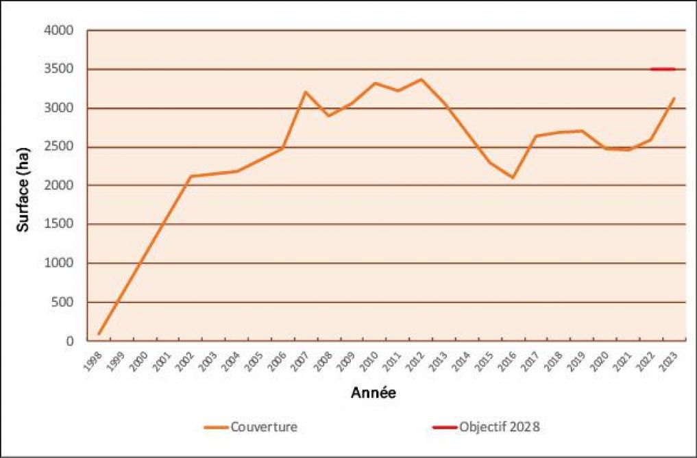 Figure 1: évolution des surfaces de tournières enherbées (en ha).