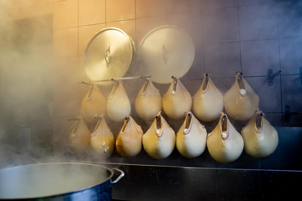Après environ 5 à 7 h de séchage, les matons sont prêts à être réfrigérés. Avant de partir chez le boulanger...