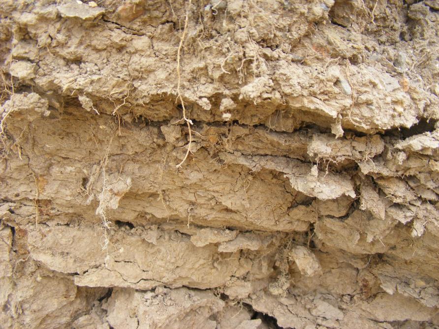 L'examen du profil consiste au creusement d'un trou d'un mètre de profondeur et de l'examen visuel de la compaction du sol, de la présence ou non de racines et de passages de vers de terre. Cet examen indique la présence d'une éventuelle semelle de labour ou de pseudo-labour. La couleur et l'odeur renseignent le niveau de drainage naturel ou articiciel du terrain (oxydo-réduction du fer).