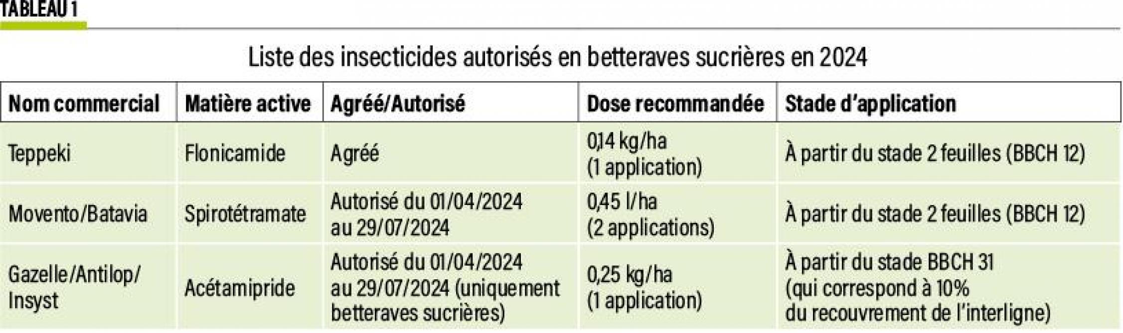 16-insecticides-betterave-1-web