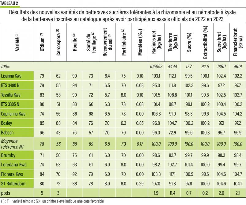 20-betteraves-tab2-web (2)