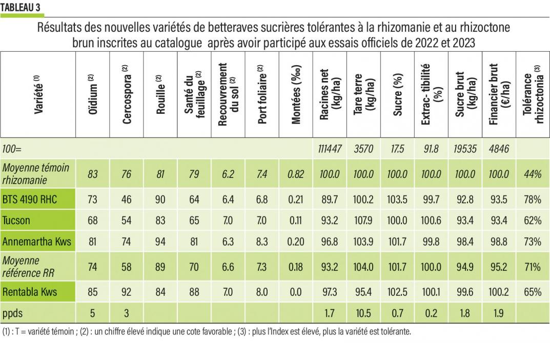 20-betteraves-tab3-web (2)