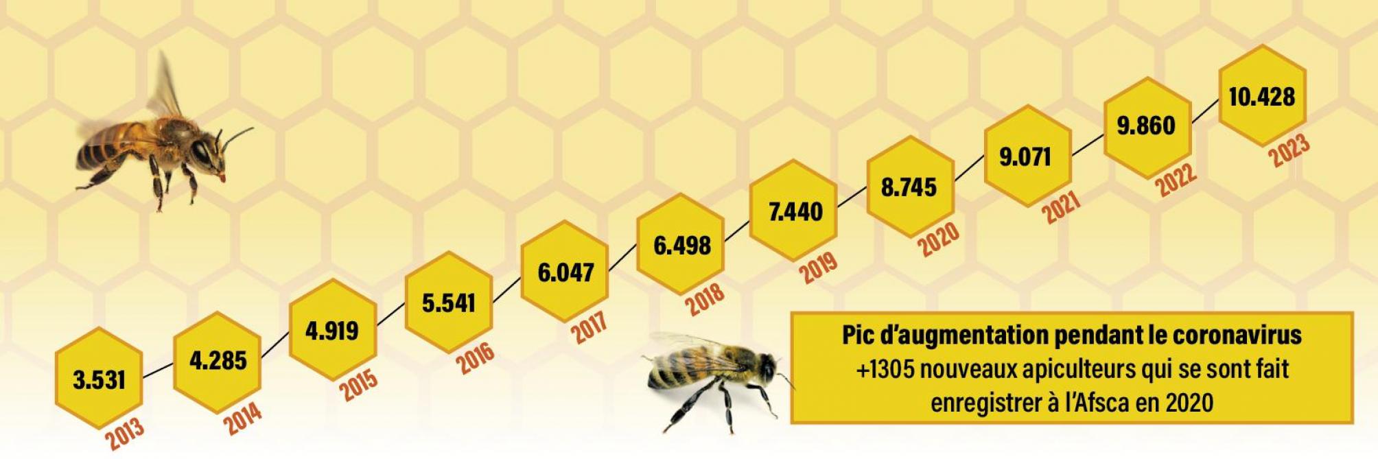 Figure 2: évolution du nombre d’apiculteurs enregistrés auprès de l’Afsca (source: Afsca).