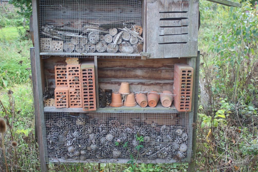 Il est préférable d’installer les hôtels à insectes dès février, avant la période des pontes.