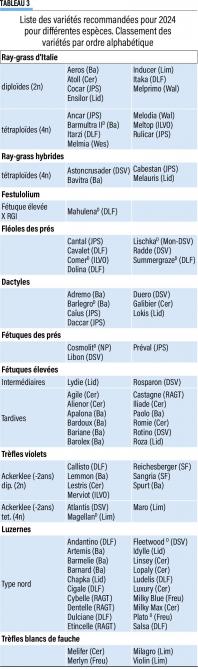 21-variete-ray-grass-03-web(1) (2)